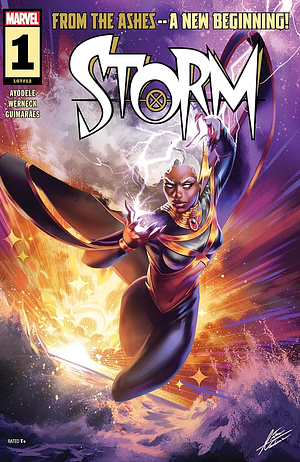 Storm (2024) #1 by Alex Guimarães, Murewa Ayodele, Lucas Werneck, Fer Sifuentes-Sujo
