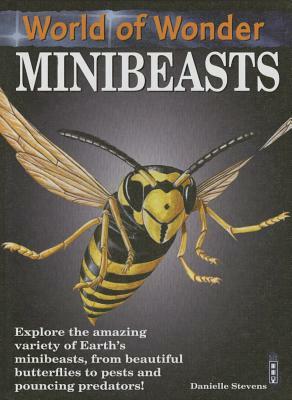 Minibeasts by Danielle Stevens