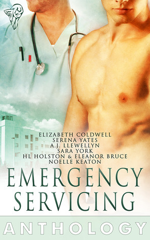 Emergency Servicing Anthology by A.J. Llewellyn, Elizabeth Coldwell, Sara York, Noelle Keaton, Eleanor Bruce, H.L. Holston, Serena Yates