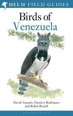 Birds of Venezuela by David Ascanio, Robin Restall