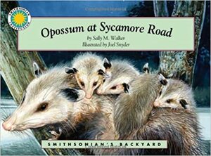 Opossum at Sycamore Road by Sally M. Walker