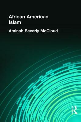 African American Islam by Aminah Beverly McCloud