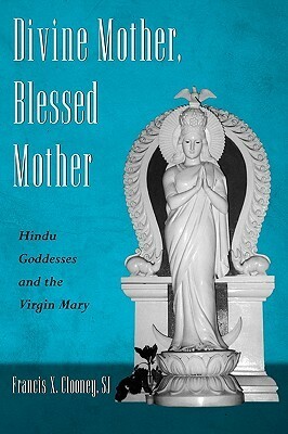 Divine Mother, Blessed Mother: Hindu Goddesses and the Virgin Mary by Francis X. Clooney