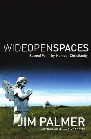 Wide Open Spaces: Beyond Paint by Jim Palmer, Jim Palmer