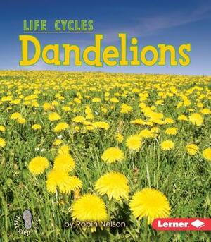 Dandelions by Robin Nelson
