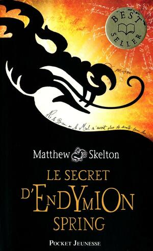 Le Secret D'endymion Spring by Matthew Skelton