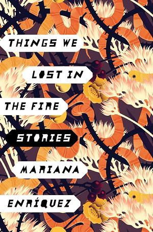 Things We Lost in the Fire by Mariana Enríquez, Mariana Enríquez