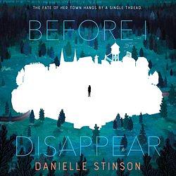 Before I Disappear by Danielle Stinson