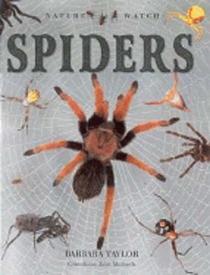 Spiders by John Michaels, Barbara Taylor