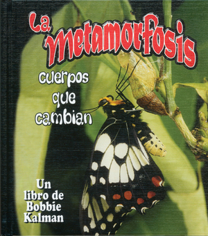 La Metamorfosis: Cuerpos Que Cambian by Bobbie Kalman