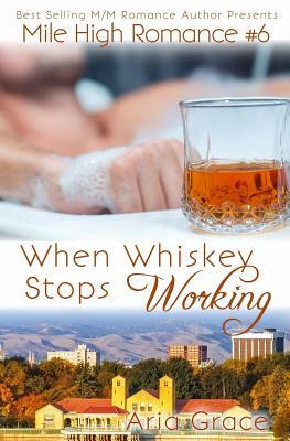 When Whiskey Stops Working: M/M Romance by Aria Grace
