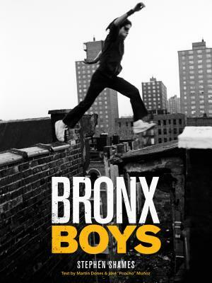 Bronx Boys by Stephen Shames