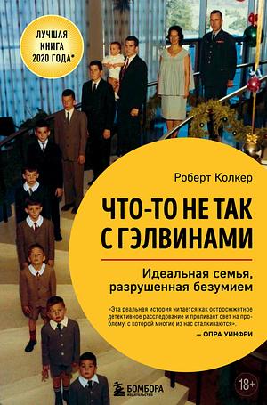 Что-то не так с Гэлвинами. Идеальная семья, разрушенная безумием by Robert Kolker