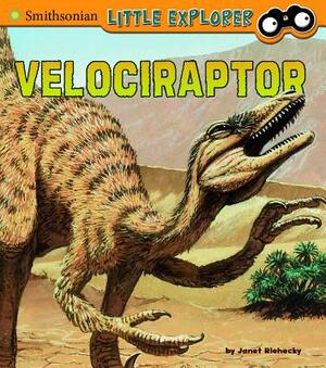 Velociraptor by Janet Riehecky