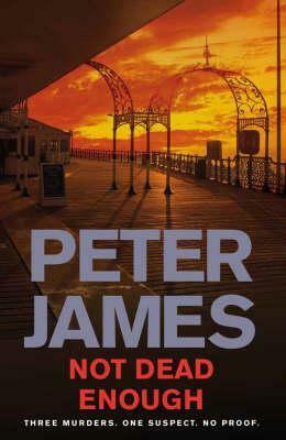 Not Dead Enough by Peter James