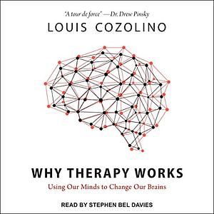 Why Therapy Works: Using Our Minds to Change Our Brains by Louis Cozolino