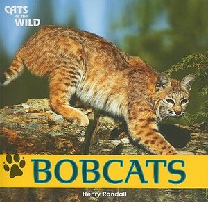 Bobcats by Henry Randall