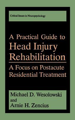 A Practical Guide to Head Injury Rehabilitation: A Focus on Postacute Residential Treatment by Michael D. Wesolowski, Arnie H. Zencius