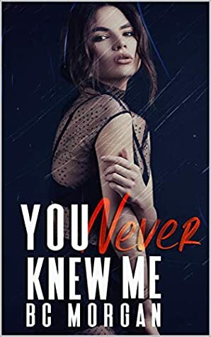 You Never Knew Me by B.C. Morgan