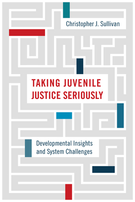 Taking Juvenile Justice Seriously: Developmental Insights and System Challenges by Christopher J. Sullivan