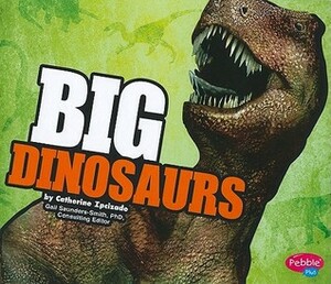 Big Dinosaurs by Heather Heyworth, Catherine Ipcizade