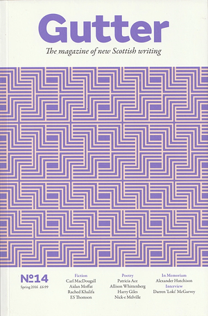 Gutter 14 by Adrian Searle, Colin Begg
