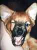 oxlabyrinthxo's profile picture