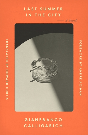Last Summer in the City by André Aciman, Gianfranco Calligarich