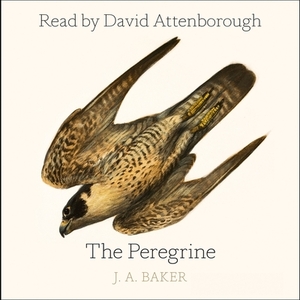 The Peregrine: 50th Anniversary Edition by J.A. Baker
