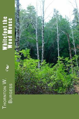Whitefoot the Wood Mouse by Thornton W. Burgess