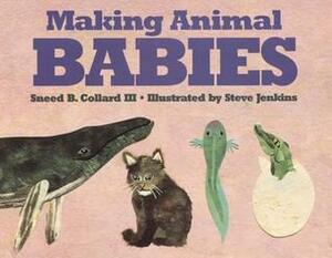 Making Animal Babies by Sneed B. Collard III, Steve Jenkins