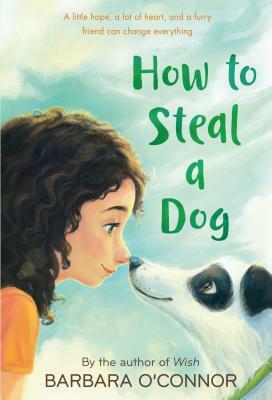 How to Steal a Dog by Barbara O'Connor