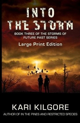 Into the Storm by Kari Kilgore