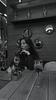 layla_7's profile picture