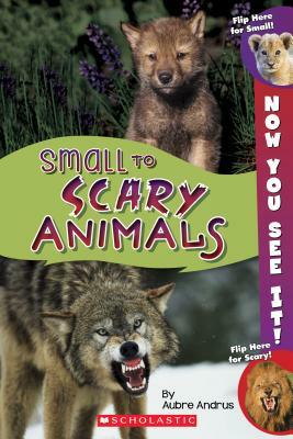 Now You See It! Small to Scary Animals by Aubre Andrus