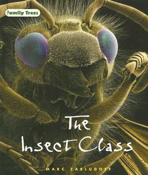 The Insect Class by Marc Zabludoff
