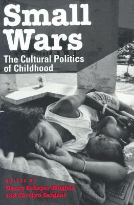 Small Wars: The Cultural Politics of Childhood by Nancy Scheper-Hughes