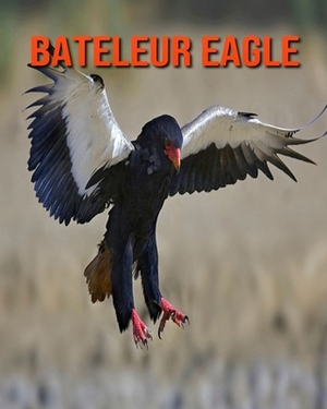 Bateleur Eagle: Learn About Bateleur Eagle and Enjoy Colorful Pictures by Diane Jackson