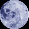 clara376's profile picture