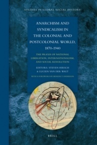Anarchism and Syndicalism in the Colonial and Postcolonial World, 1870-1940: The Praxis of National Liberation, Internationalism, and Social Revolution by Steven Hirsch, Lucien Van Der Walt