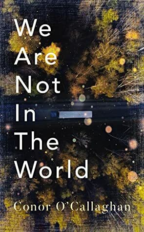 We Are Not in the World by Conor O'Callaghan