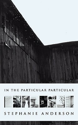 In the Particular Particular by Stephanie Anderson