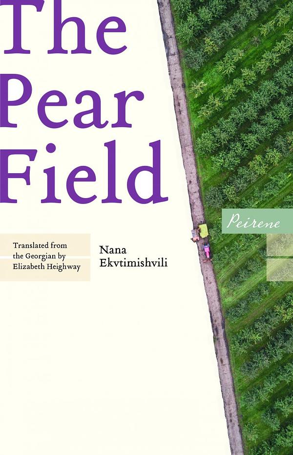 The Pear Field by Nana Ekvtimishvili | The StoryGraph