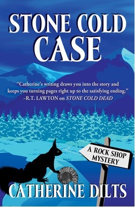 Stone Cold Case by Catherine Dilts