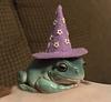scarlettread's profile picture