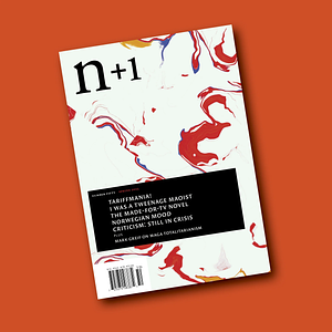n+1 Magazine | Issue 50 : Harsh Realm by Editors of N+1