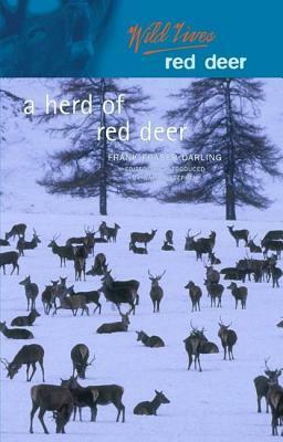A Herd of Red Deer: A Study in Animal Behaviour by Walter Stephen, Frank Fraser Darling