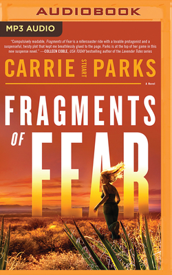 Fragments of Fear by Carrie Stuart Parks