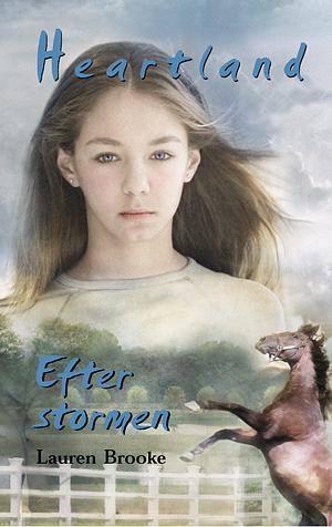 Efter stormen by Lauren Brooke