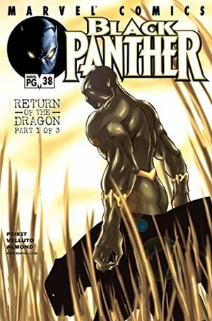 Black Panther #38 by Sal Velluto, Christopher J. Priest, Steve Uy